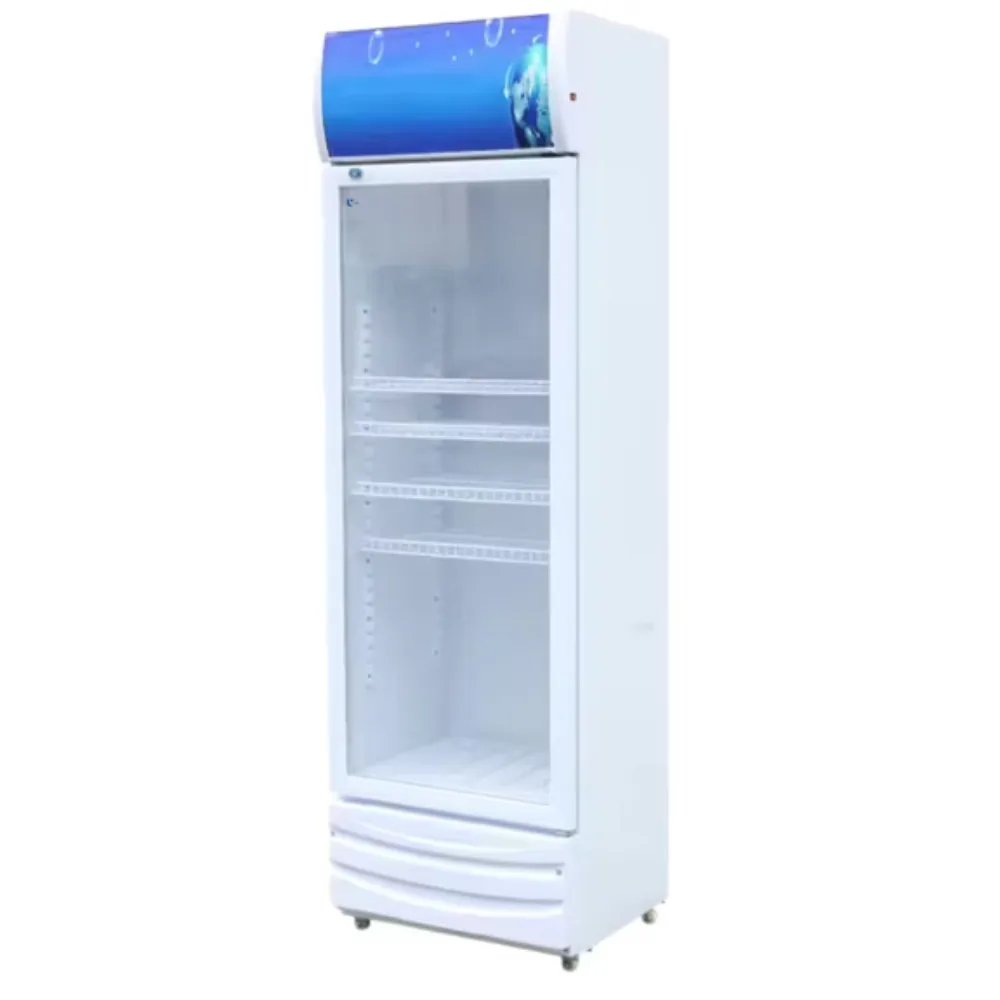 İçecek Buzdolabı 1 Cam Kapı | 600×600×1950 mm | 5 Raf | LED | R290