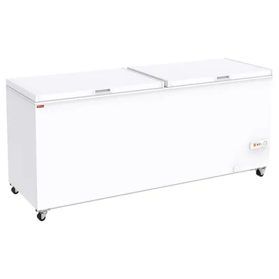 Derin Dondurucu 655 Litre - 2055 x 720 x 845 mm